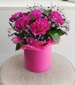 Коробочка с диантусами