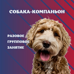 Собака компаньон