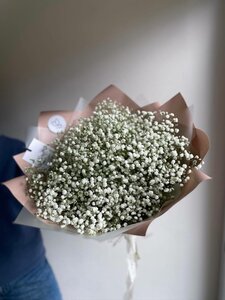 Снежность