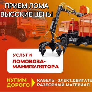 Услуги
