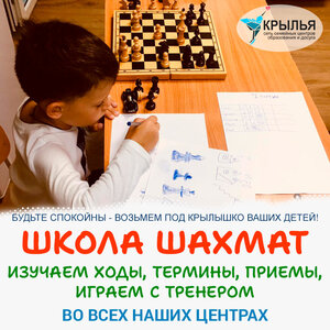 Шахматы, школа шахмат