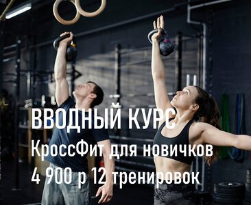 Вводный курс для новичка