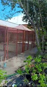 Размещение собаки в уличном вольере с теплой комнатой