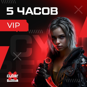 5 часов вип