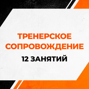 Тренерское сопровождение (12 занятий)