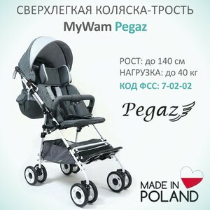 Коляска-трость для детей с ДЦП MyWam Pegaz
