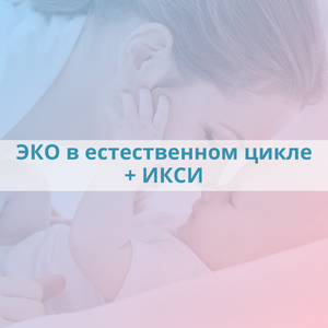 ЭКО в естественном цикле+ИКСИ