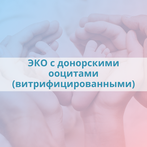 ЭКО с донорскими ооцитами