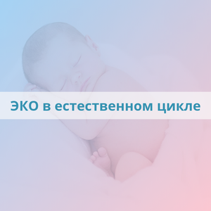 ЭКО в естественном цикле