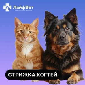 Стрижка когтей