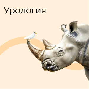 Урология