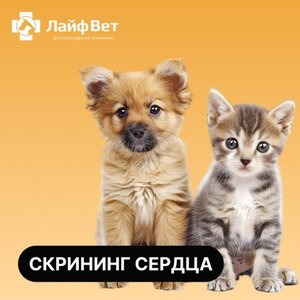 Скрининг сердца