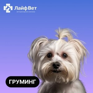 Груминг