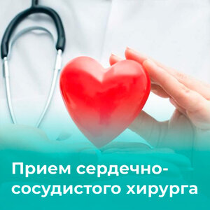Прием сердечно-сосудистого хирурга в г. Мурманск