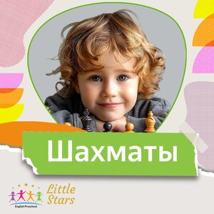 Шахматы