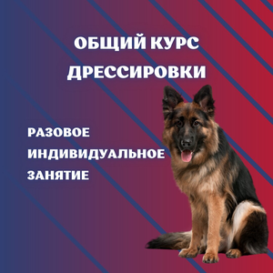 Общий курс дрессировки
