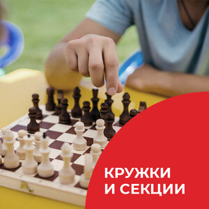 Кружки и секции