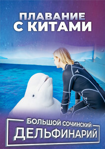 Фото с китом и дельфином