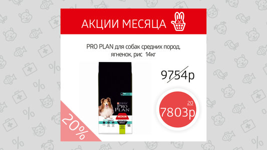 PRO PLAN сухие корма для собак - скидка 20%!