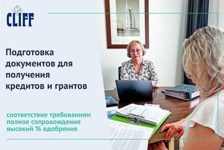 Подготовка документов для получения кредитов и грантов
