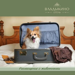 Размещение с животными