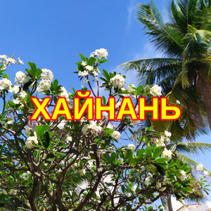 Горящий Хайнань, Китай