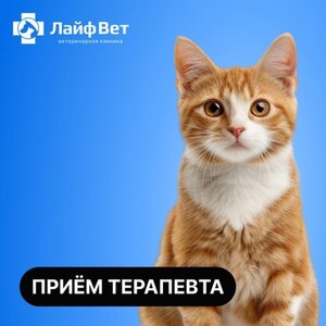 Первичный приём