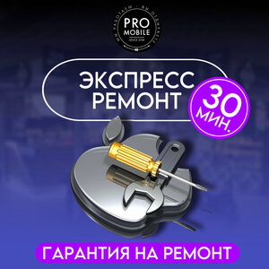 Экспресс-ремонт от 30 минут!