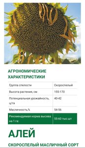 Алей Элита- семена скороспелого высокомасличного сорта
