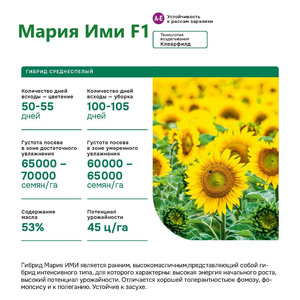 Мария ИМИ среднеспелый гибрид (Clearfield) A-E. Семена п
