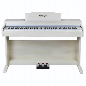 SOLISTA DP200WA Цифровое пианино, цвет белый ясень