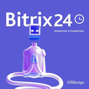 Внедрение и поддержка Битрикс 24