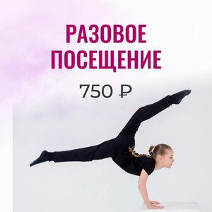 Разовое посещение