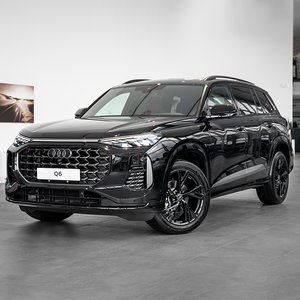 Audi Q6