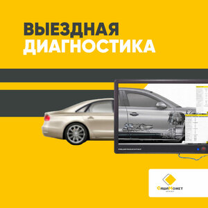 Выездная диагностика - разовая проверка авто (от)