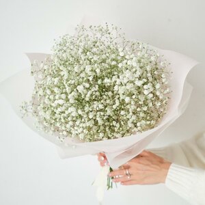 Монобукет из белой гипсофилы, 7 штук
