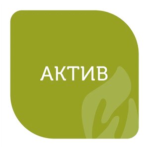 Программа «Актив»
