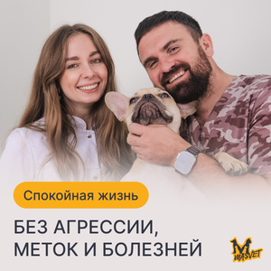 Кастрация животных