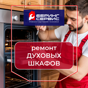Ремонт духовых шкафов и духовок