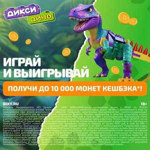 Играй и выигрывай в Дикси!