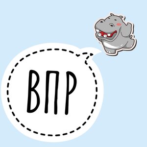 Подготовка к Всероссийской проверочной работе (ВПР)