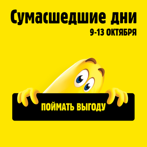 Сумасшедшие дни