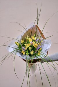 Букет ирисов
