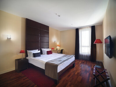 One Bedroom Exceptional Suite / Суперлюкс