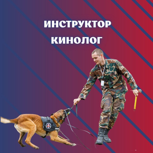 Курс инструктор кинолог