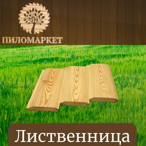 Лиственница