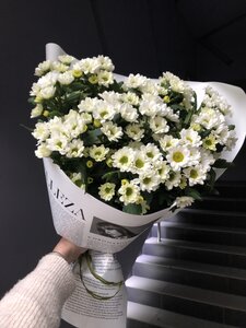 Букет из кустовых белых хризантем Сантини 25 шт