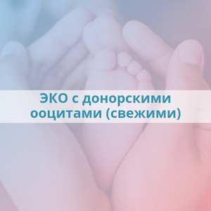 ЭКО с донорскими ооцитами(свежими)