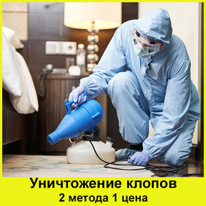 Уничтожение клопов