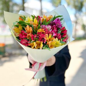 Яркие букеты альстромерий